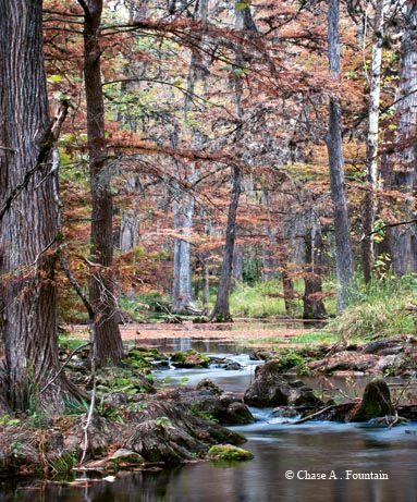 Paradise found at Honey Creek State Natural Area.